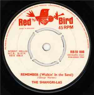 The Shangri-Las - Remember (Walkin' In The Sand)