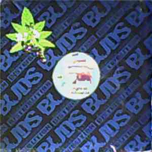 Unknown Artist - Disc Jockey's Delight