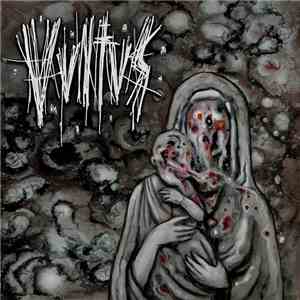Vvltvs - Neerval