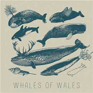 Whales Of Wales - Whales Of Wales