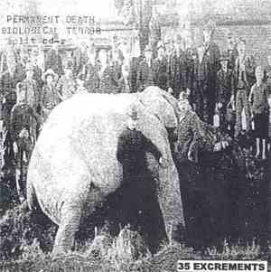 Biological Terror / Permanent Death - 35 Excrements