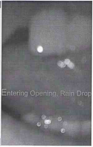 Entering Opening - Rain Drop