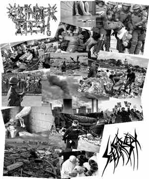 Grinder Flesh / Sete Star Sept - Split Tape