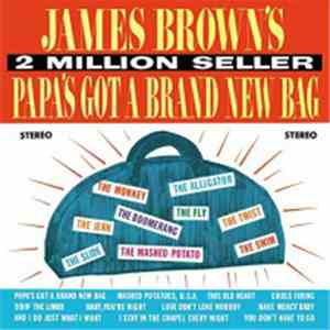 James Brown - Papa's Got A Brand New Bag