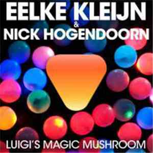 Eelke Kleijn & Nick Hogendoorn - Luigi's Magic Mushroom