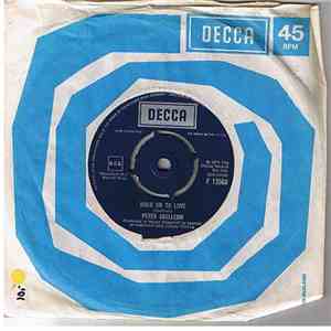 Peter Skellern - Hold On To Love / Too Much, I'm In Love