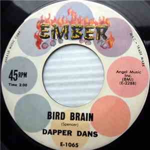 Dapper Dans - Bird Brain