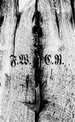 Floridian Winter / Cross Rot - Floridian Winter / Cross Rot