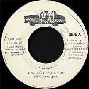 The Tamlins - Laying Beside You / Go Away Dreams