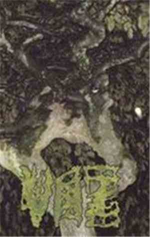 Vaz - Chartreuse Bull