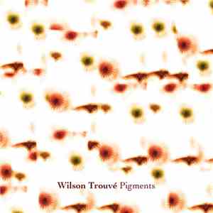 Wilson Trouvé - Pigments