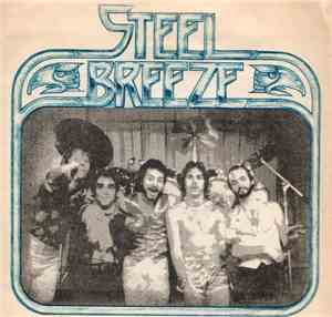 Steel Breeze - Just A Smile / You're A Loser