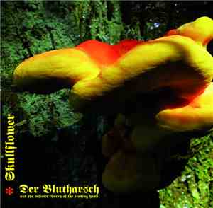 Der Blutharsch And The Infinite Church Of The Leading Hand + Skullflower - Angel Of Darkness