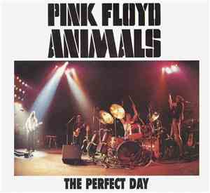 Pink Floyd - The Perfect Day