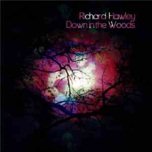 Richard Hawley - Down In The Woods