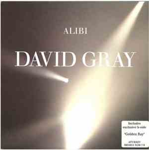 David Gray - Alibi