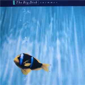The Big Dish - Swimmer