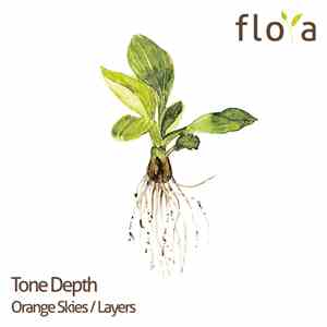 Tone Depth - Orange Skies / Layers