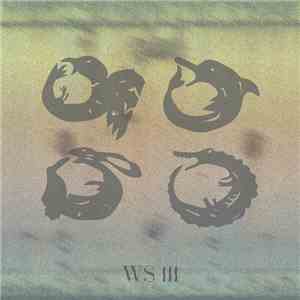 Water Spaniel - WSIII