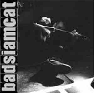 Bad Siam Cat - ...Radio Plays The Grand Funk