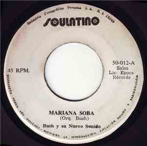 Bush Y Su Nuevo Sonido - Mariana Soba