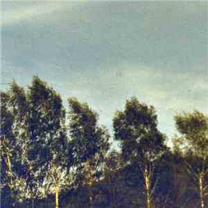 Docetism - Forest Paths