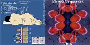 Electric Loopstation - Virus