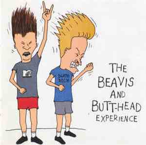 Various - The Beavis And Butt-Head Experience