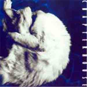 Chapterhouse - Whirlpool