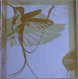 Ginnungagap - Return To Nothing/Nothing To Return - Live At The Flux Factory, Queens 10th March 2004