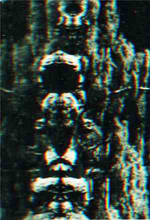 O Morto - The Forest, The People And The Spirits