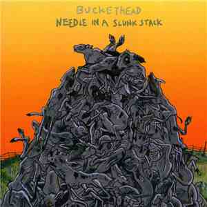 Buckethead - Needle In A Slunk Stack