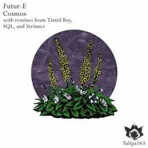 Futur-E - Cosmos