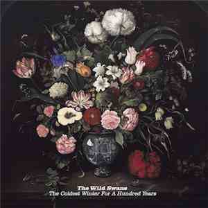The Wild Swans - The Coldest Winter For A Hundred Years