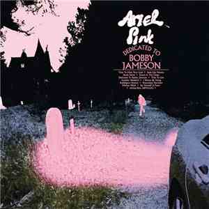 Ariel Pink - Dedicated To Bobby Jameson