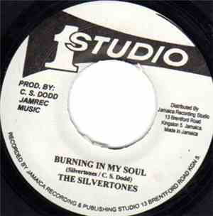 The Silvertones - Burning In My Soul