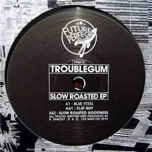 Troublegum - Slow Roasted EP