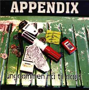 Appendix  - Ungdommen Nå Til Dags