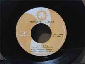 Conjunto Armonia Andina - Tunita