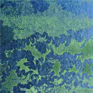 Jana Winderen - Submerged