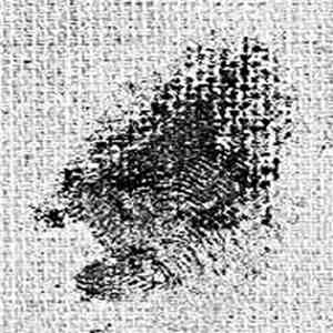 The Push  - Transcendental Evidence