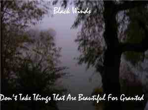 Black Winds - Don't Take Things That Are Beautiful For Granted
