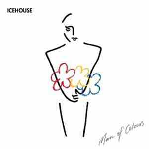 Icehouse - Man Of Colours