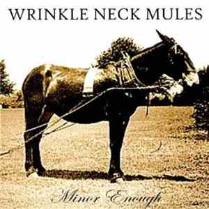 Wrinkle Neck Mules - Minor Enough