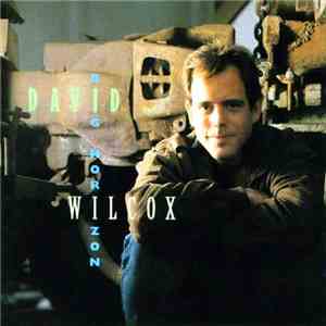 David Wilcox - Big Horizon
