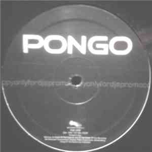 Giorgio Prezioso & Libe - Pongo