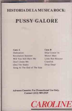 Pussy Galore  - Historia De La Musica Rock
