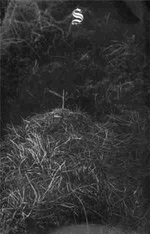 Somber Poetry For Dying Thee - Bury Ye