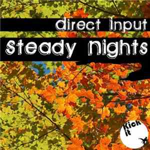 Direct Input  - Steady Nights