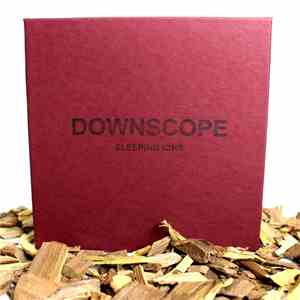 Downscope - Ion Box